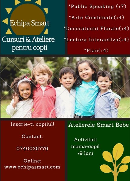 Echipa Smart - Cursuri de pregatire si ateliere